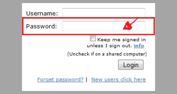 Enter your ‘Password’ in the Password text-field of the login form.