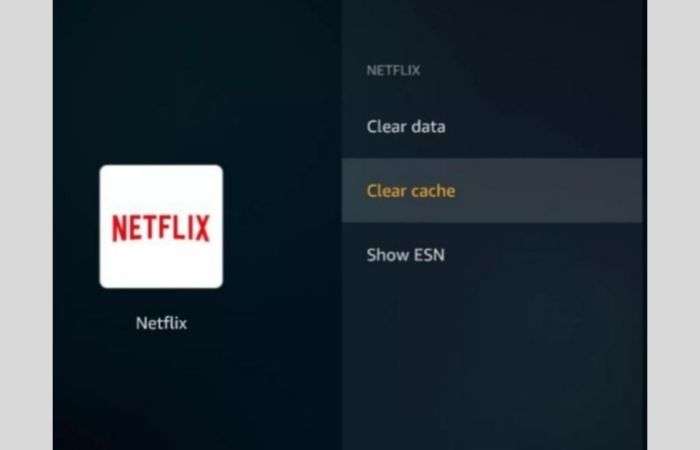 Clear the Netflix App’s Cache and Data on Roku.